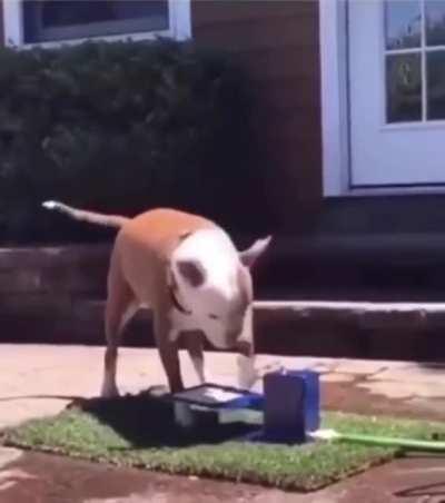 I just want some water