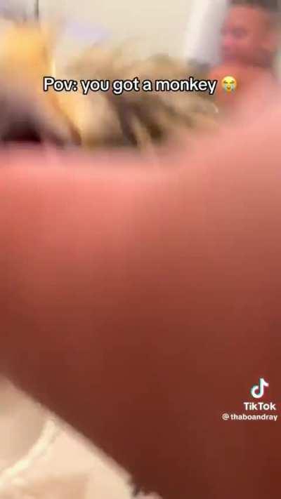 POV: you're a support player trying to keep up with Winston