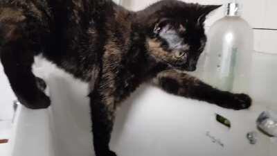 Touch tha sink touch tha soap touch tha hole touch tha sink touch tha water touch tha water water water