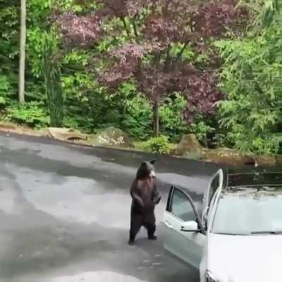 Now I know the opposite of 