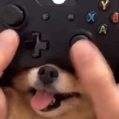 El nuevo control de xbox tienes nuevos botones