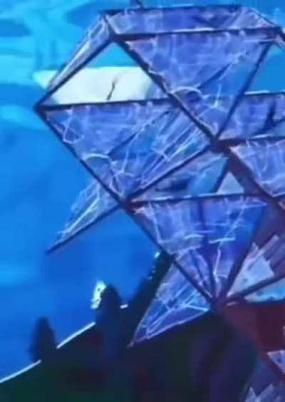 Fight or Run!?! 😳