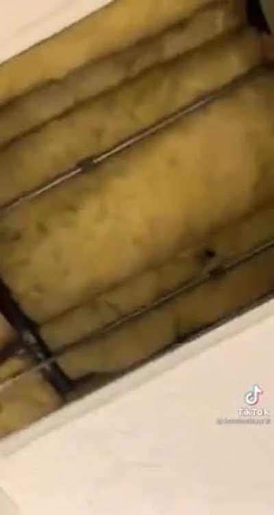 Bruh wtf is wrong wit ma schoo 🤦‍♂️