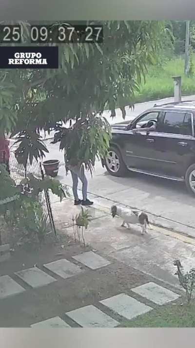 Los chairos han de decir y esto porque lo exhibes si no es de la 4T, era dirigente del desaparecido PRD en Veracruz, pero si es culpa de la 4T que estás actitudes mamonas prepotentes de políticos ya había bajado y se hizo fuerte cuando entraron los nacos 