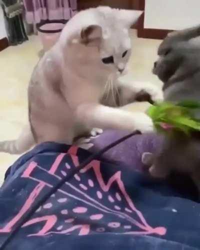 Watch what you're doing!