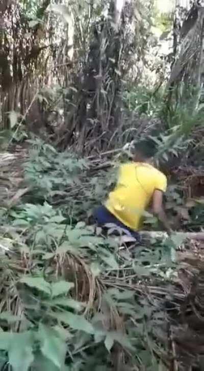 Aftermath of platform getting sawed off