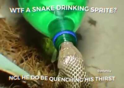 YOOO HE DRINKING SPRITE?