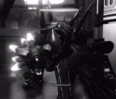 BeelcitosMemes - Video #5121