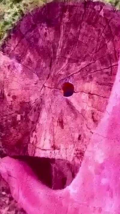 This video is why I have trust issues