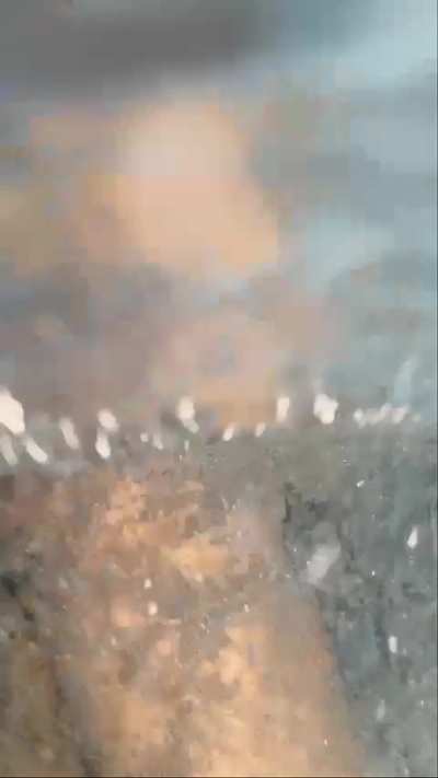 Iam 18 years old with huge boobs :p