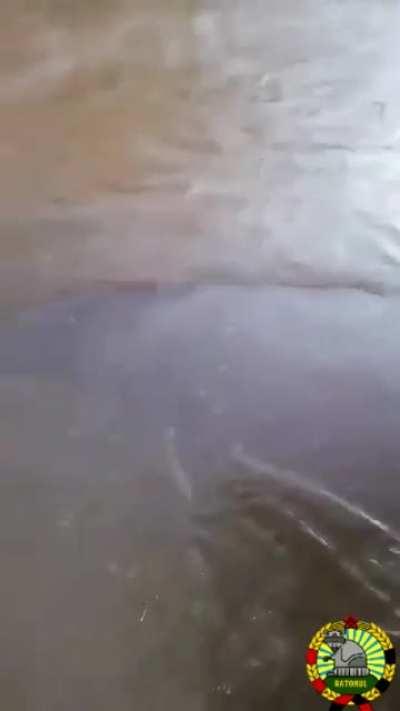 Corporatistii in Galati be like