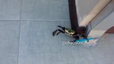 SAY YOUR PRAYERS ASSHOLE!