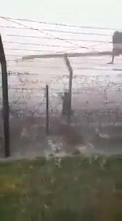 Cow-Smuggling at Bangladesh-India border