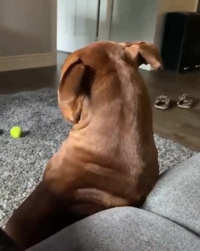 Why are you stopping?