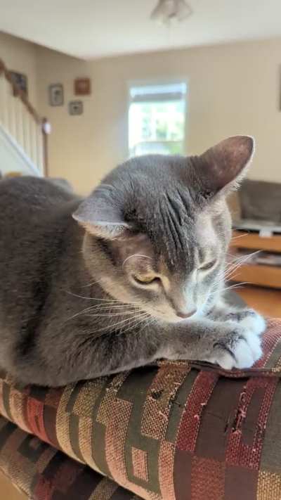 She demands attention