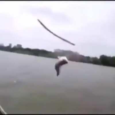 Do you come from a land down under caw caw?????