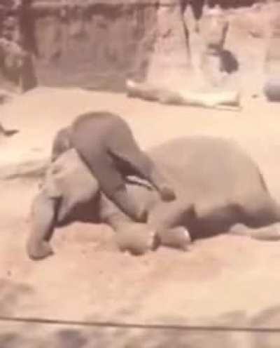 Mom...Mom...Mom...I'm ready to play Mom...