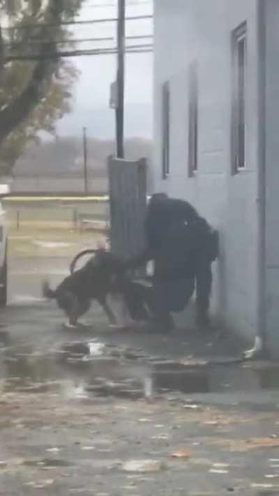 Dude with a knife punches responding officer in the face. Proceeds to meet pupper.