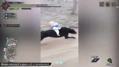 Monster Hunter Palamute