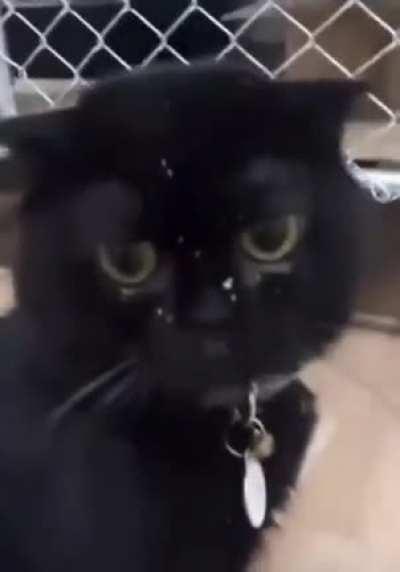 Are you seeing this?