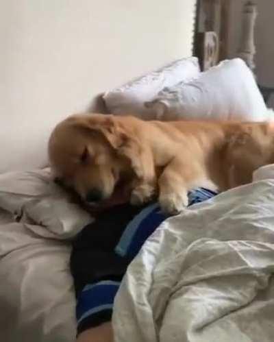 I think he likes you