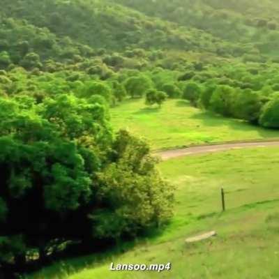 childhood trauma in one video