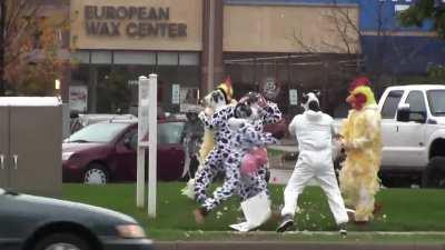 Oldie but Goodie chaos!