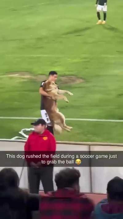 He enjoys being carried