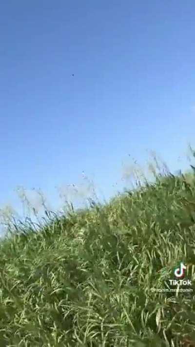 Russian T-72B3 gets obliterated in Ukraine