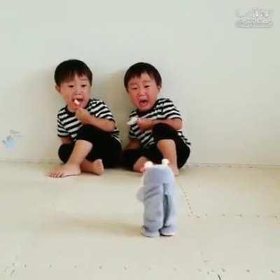 Not the sharpest tools in the shed