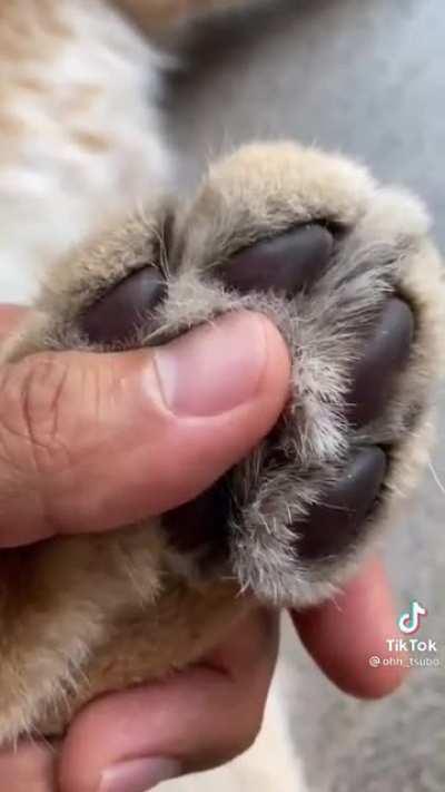 Glad I ended up on floptok