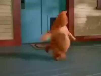 Turkish Garfield Bruh