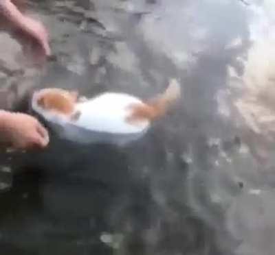 What in floatnation!