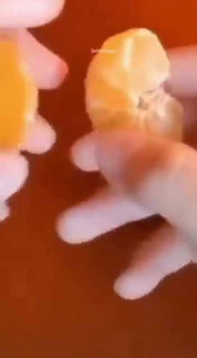 Entenda e transcenda