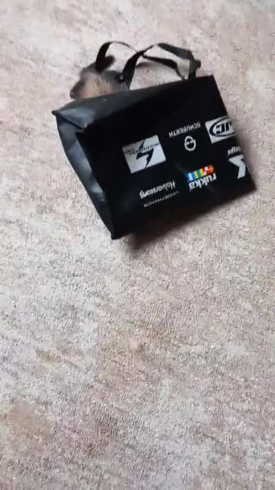 Jenny Elsa and Gillian