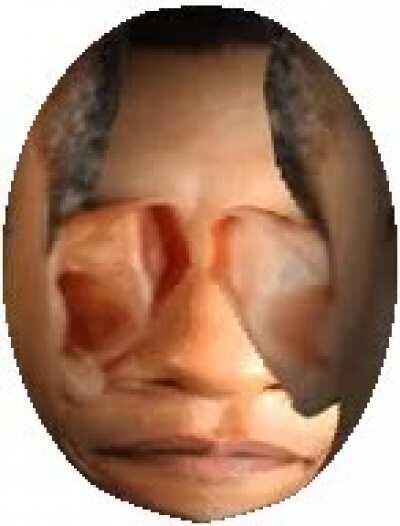 Fuck it, o b a m a e g g