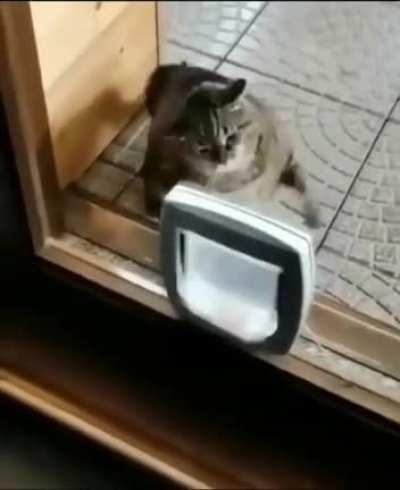 I want to be the world Champion!