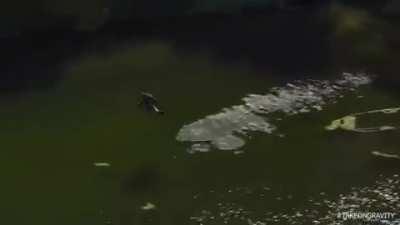 Вот и будущее потихоньку подкрадывается...