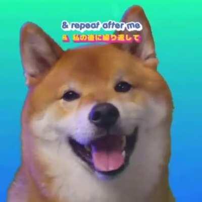 Honestly, I was having a bad day till I watched this :)