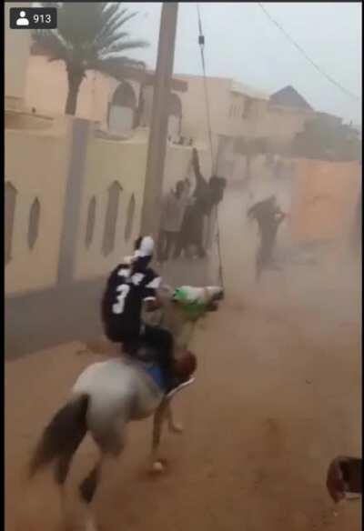 Just a normal horse race in africa
