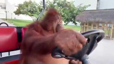 cruising into 2022 😎