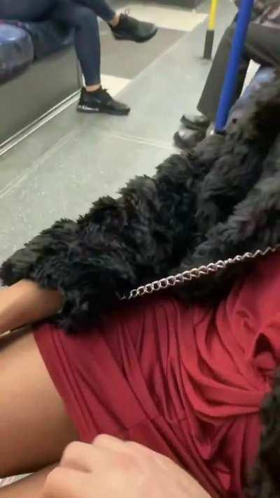 Love it when they are naughty