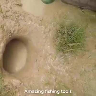 Give a man a fish, he eats for one day. Give a man a snake, he eats for life.