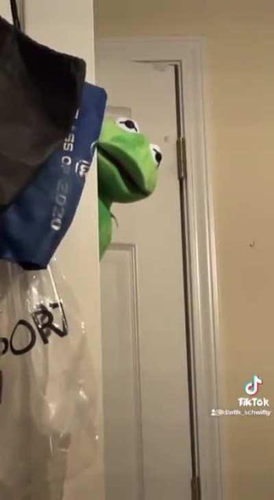 KERMIT WANT HIS MONEY!!! By darth_schwitty