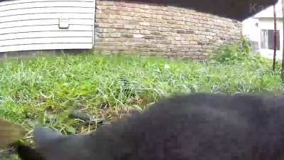 POV: You’re Floyd Money Meoweather’s punching bag