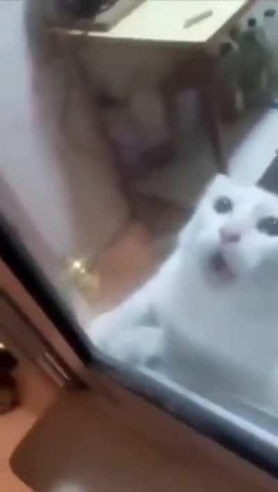 Cuando mientes en tu CV y consigues el trabajo: