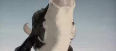 Thanks, I hate milking