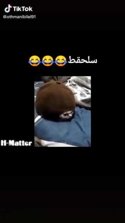 سلحفاة + بسة = بسحفاة