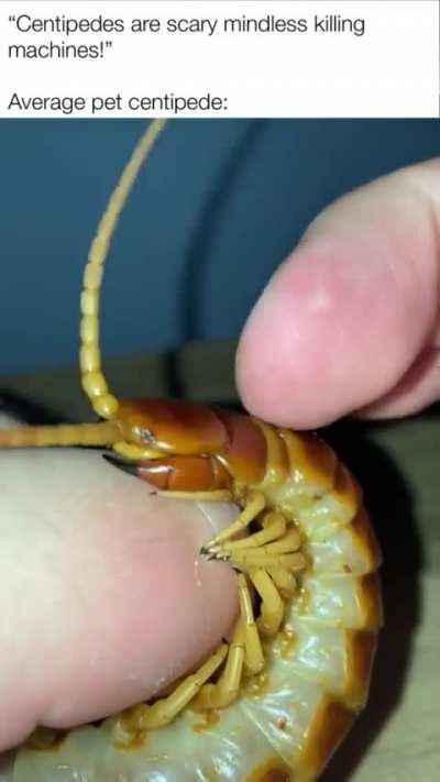 They’re not that bad