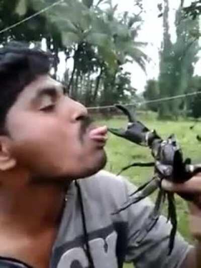 Putting a crab too close to your mouth